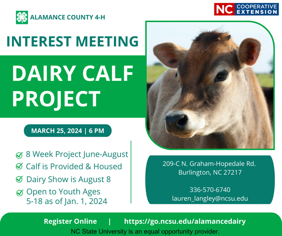 Dairy Project