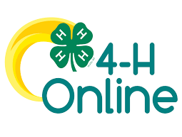 4-H Logo Clover with Yellow Band 