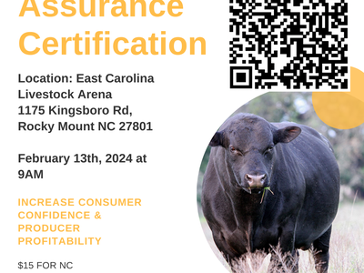 Beef Quality Assurance Certification