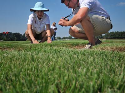 students look at grass samples