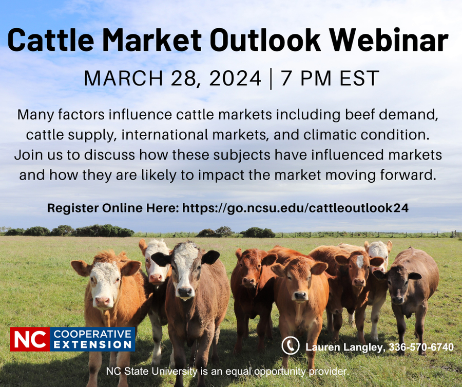 cattle outlook webinar flyer