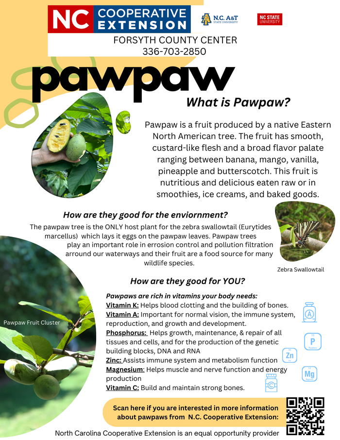 Pawpaw flyer.