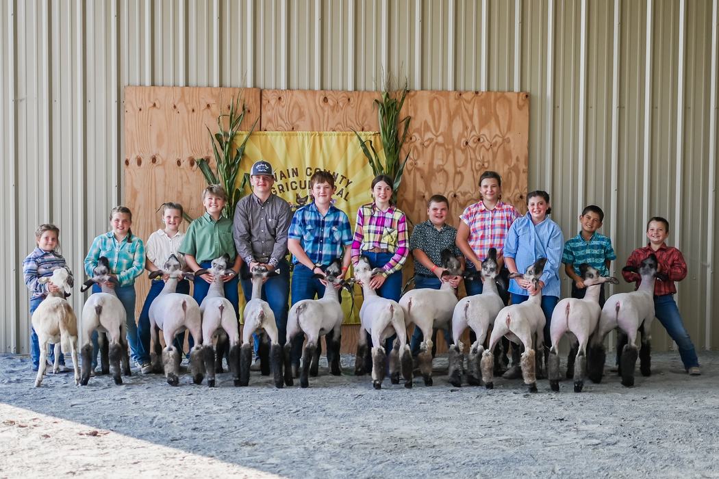 youth livestock group photo. 12 youth stand with their show sheep. 