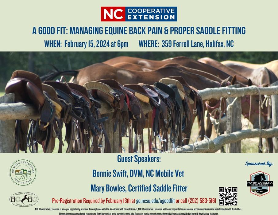 A Good FIt: Managing Equine Back Pain & Proper Saddle fitting