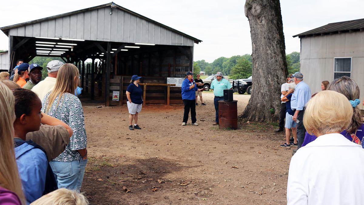 NC State Extension equine industry horse husbandry program