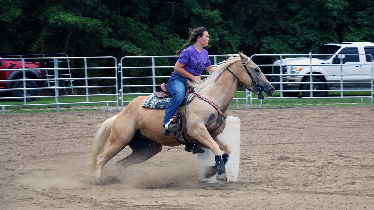 NC State Extension equine industry horse husbandry program