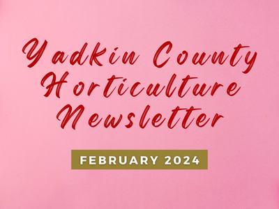 February Newsletter