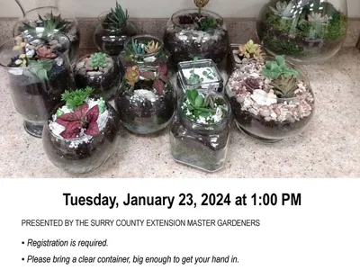 Garden In A Jar