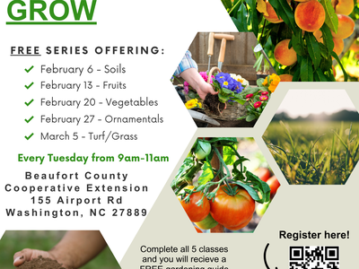 Grow Series Flyer 2024