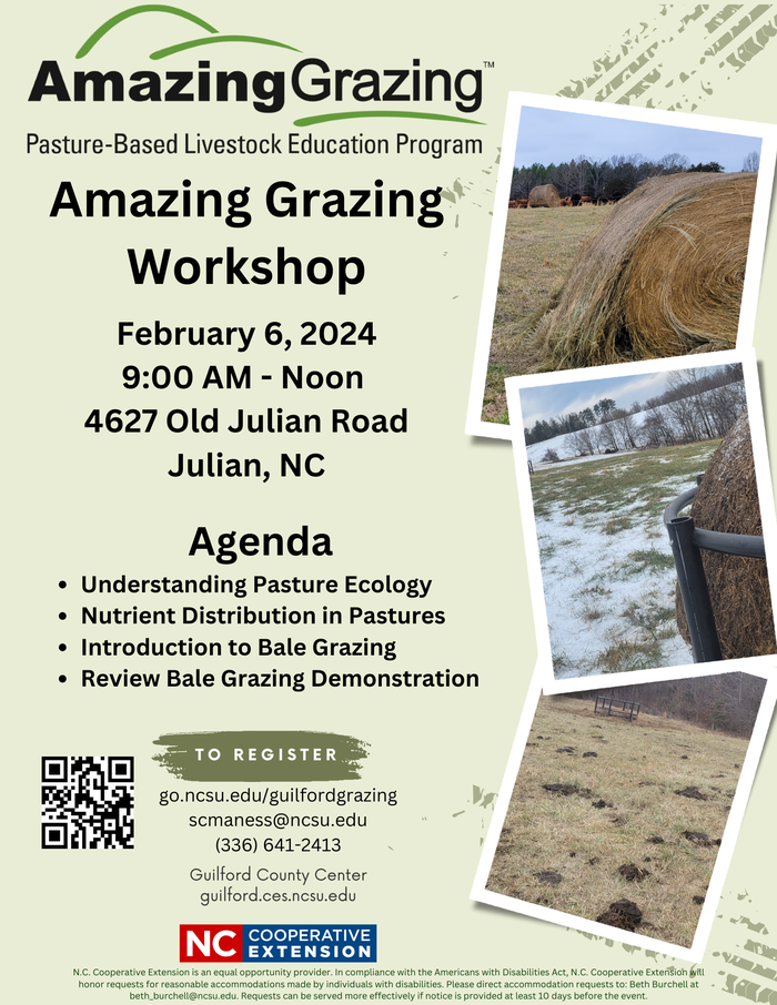 Amazing Grazing Workshop