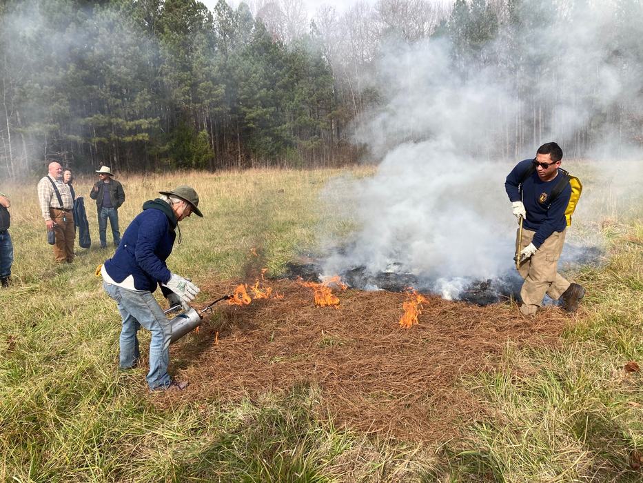 A small learning fire.