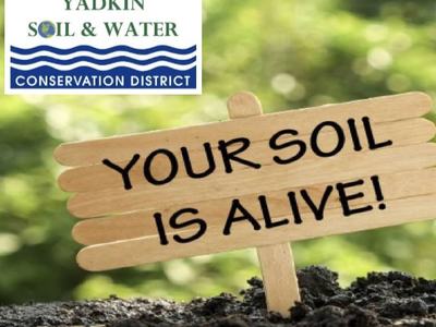 Wooden sign in soil reading "YOUR SOIL IS ALIVE!" with Yadkin Soil & Water Conservation District logo
