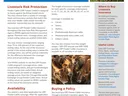 Infographic containing information about LRP