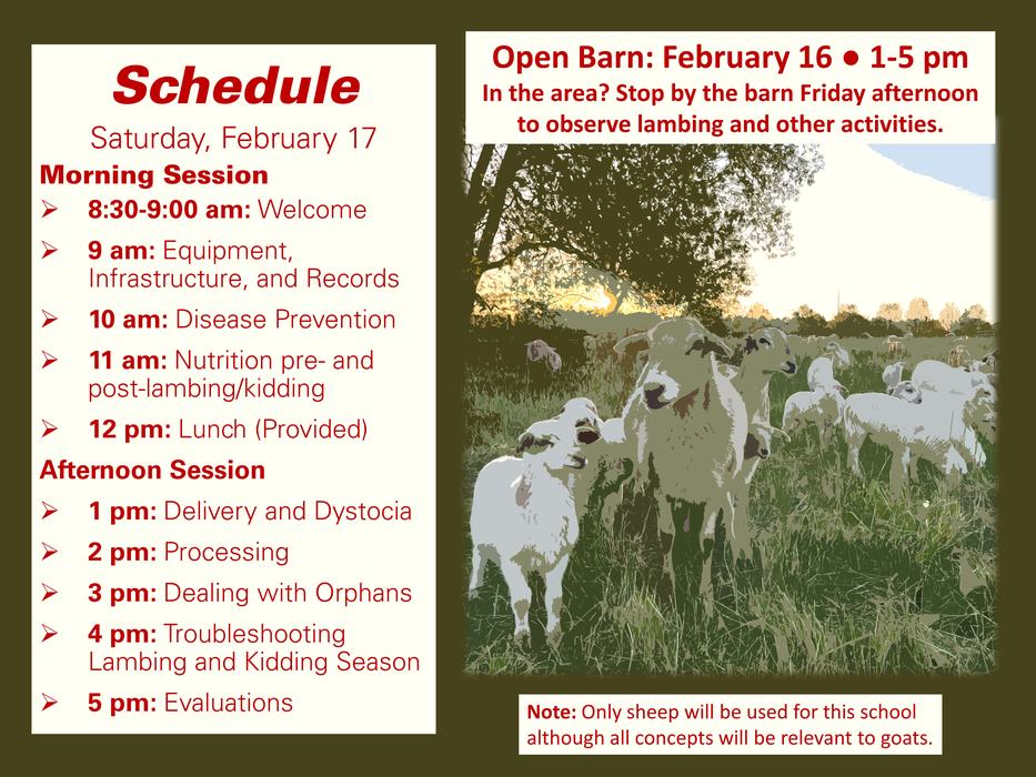 Schedule for Saturday Feb 17; Open Barn: February 16 1–5 pm; Note: Only sheep will be used.