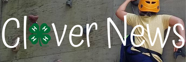 child on climbing wall at BJP Clovernews