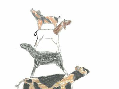 2024 Beaufort County 4-H Livestock Show and Sale — March 21, 2024; Coastal Carolina Gin, Pantego NC