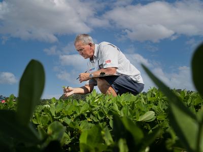 Man crouching in field inspecting soybean plants, holding a clipboard and pen
