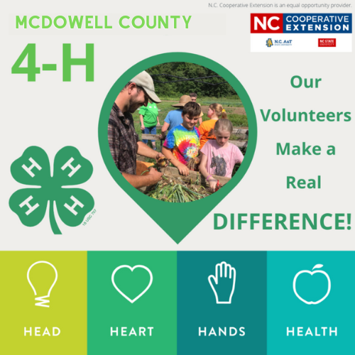 McDowell County 4-H: volunteers harvesting plants; text "Our Volunteers Make a Real DIFFERENCE!"