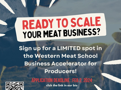 Ready to Scale your Meat Business? Sign up for a limited pot in the Western Meat School Business Accelerator for Producers!