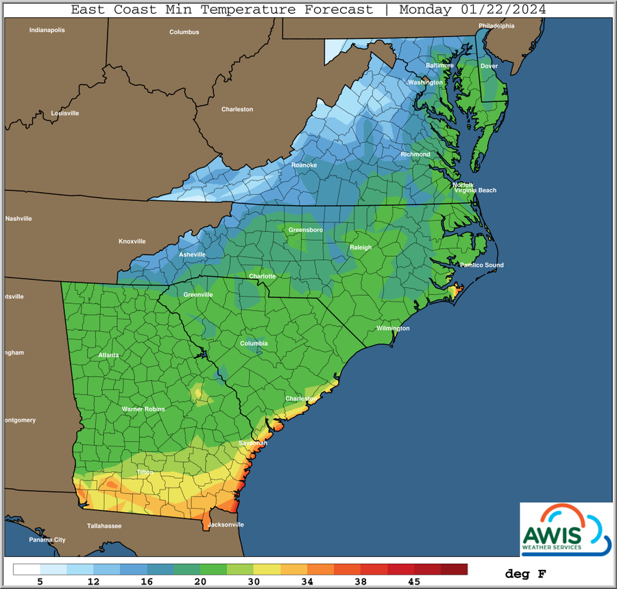 East Coast Min Temperature Forecast, Monday 01/22/2024