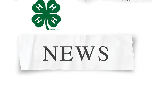 News and clover