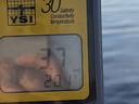 Photo of salt meter reading in the Perquimans River