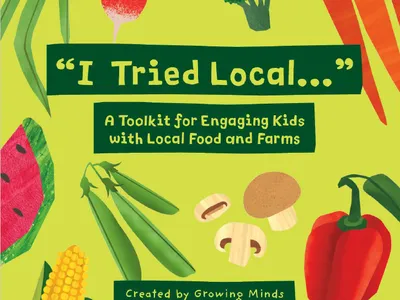 I Tried Local Toolkit Cover Photo
