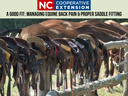 Saddles and bridles on a fence with horses; banner: NC Cooperative Extension, A Good Fit