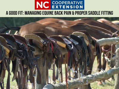 Saddles and bridles on a fence with horses; banner: NC Cooperative Extension, A Good Fit
