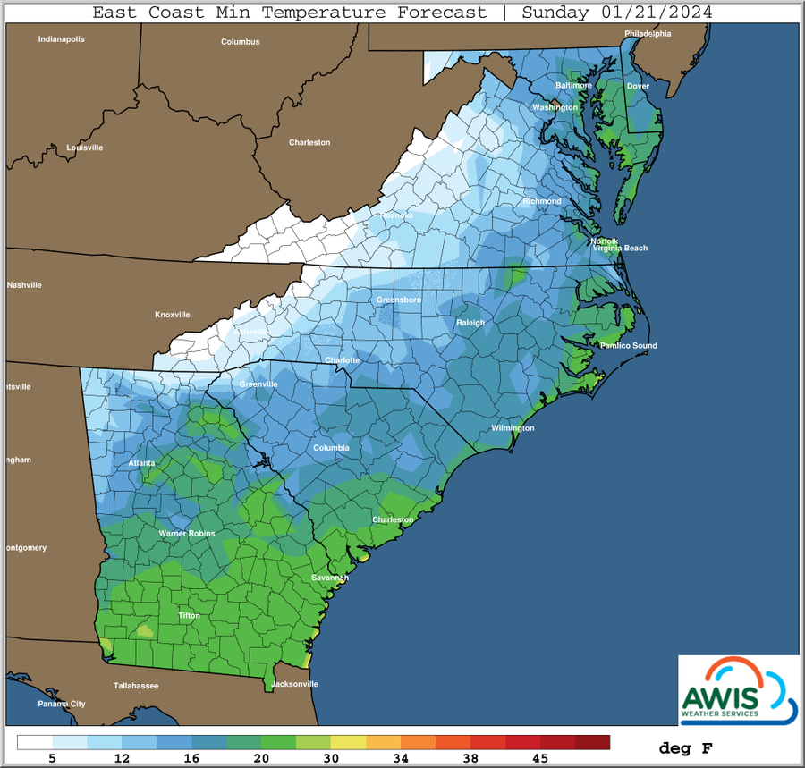 East Coast Min Temperature Forecast, Sunday 01/21/2024
