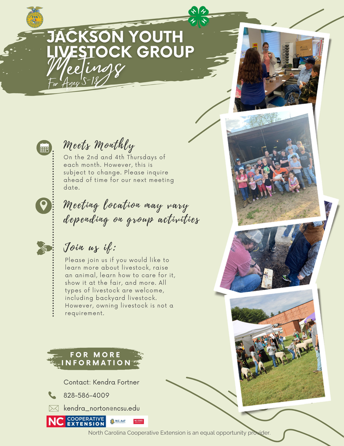 Youth Livestock Group