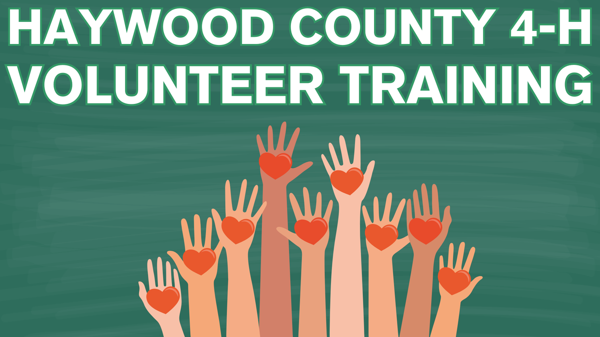 Haywood County 4-H Volunteer Training in white with hands of different skin tones raised holding red hearts. On green streaky background