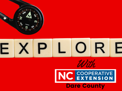 logo for the new 2024 theme for Extension: Explore