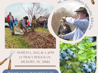 blueberry pruning field day flyer