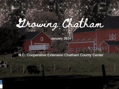 Red barns and cows; text: "Growing Chatham", January 2024, N.C. Cooperative Extension