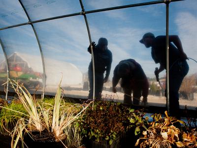 greenhouse construction with students
