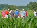 Group of people standing among corn plants in a field during a crop tour
