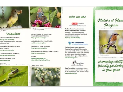 brochure featuring information about nature at home