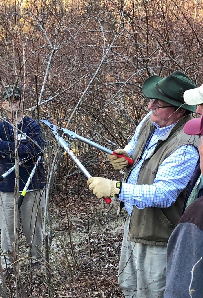 A man showing a group of people how to prune a bush.