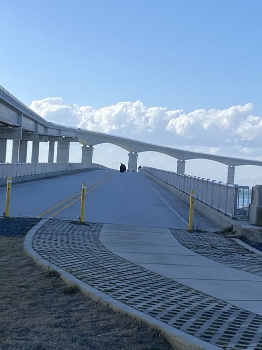 A pier under a large bridge.