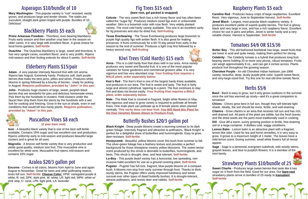 Back of 2024 Plant Sale Brochure