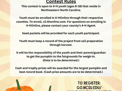pumpkin contest