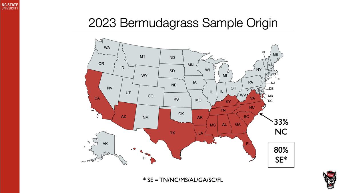 US map showing 2023 Bermudagrass sample origins; 33% NC; 80% SE (TN/NC/MS/AL/GA/SC/FL)