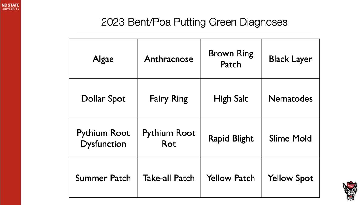 2023 Bent/Poa Putting Green Diagnoses — 4x4 grid listing turf issues: Algae; Anthracnose; Dollar Spot; Pythium Root Rot; Yellow Spot