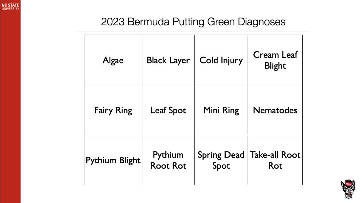 2023 Bermuda Putting Green Diagnoses — grid listing 12 turf issues