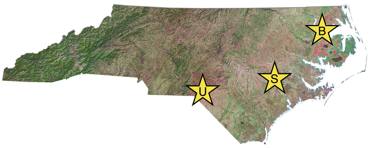 Map of North Carolina with yellow stars showing the trials locations: Union Co, Sampson Co, and Beaufort Co