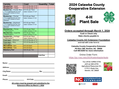 4-H Plant Sale Order Form