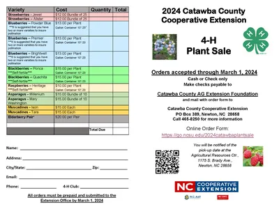 4-H Plant Sale Order Form