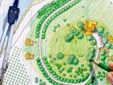 Blueprint of a landscape design