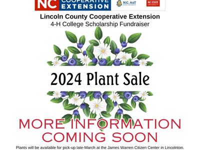 Lincoln County Cooperative Extension 2024 Plant Sale; More information coming soon